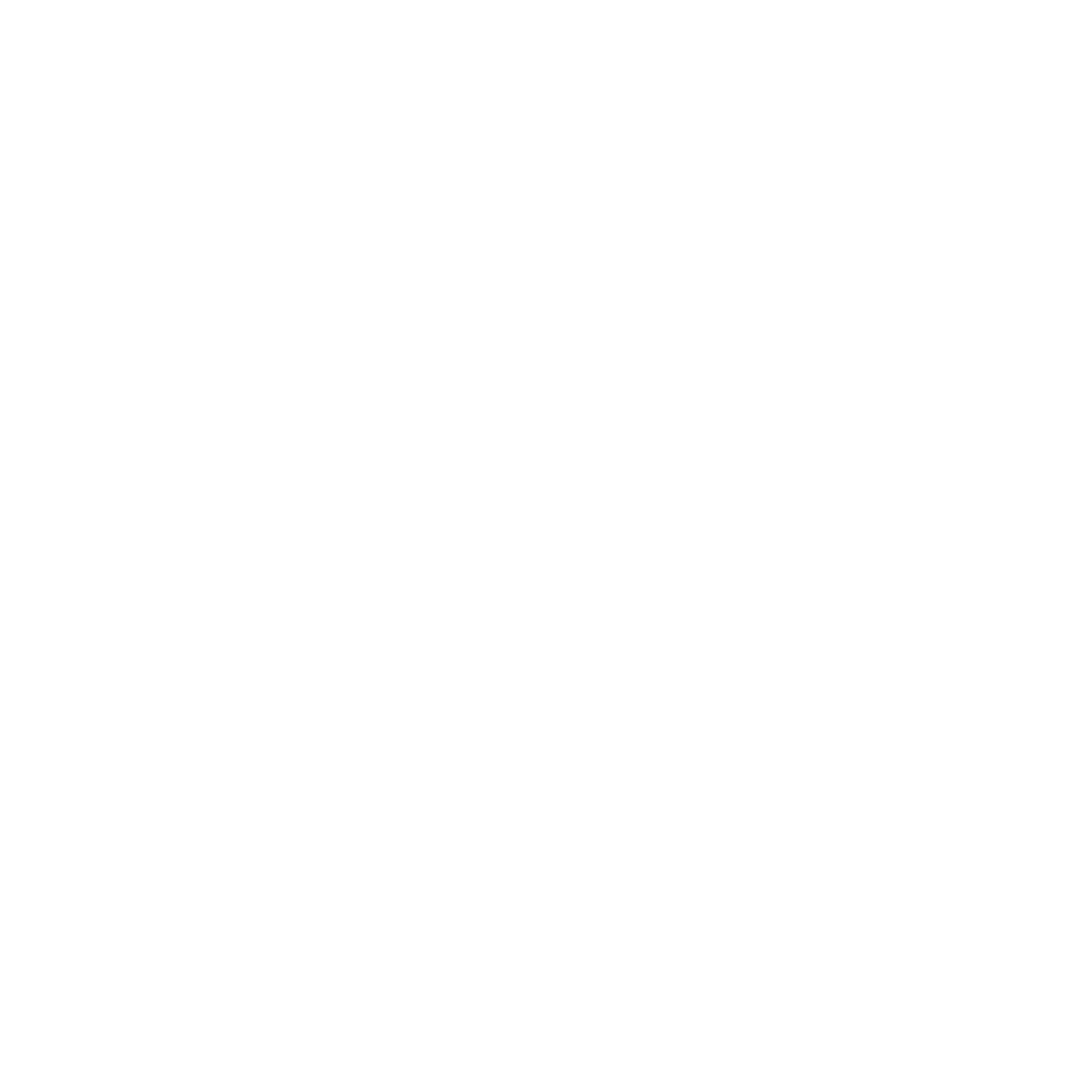 phone-icon
